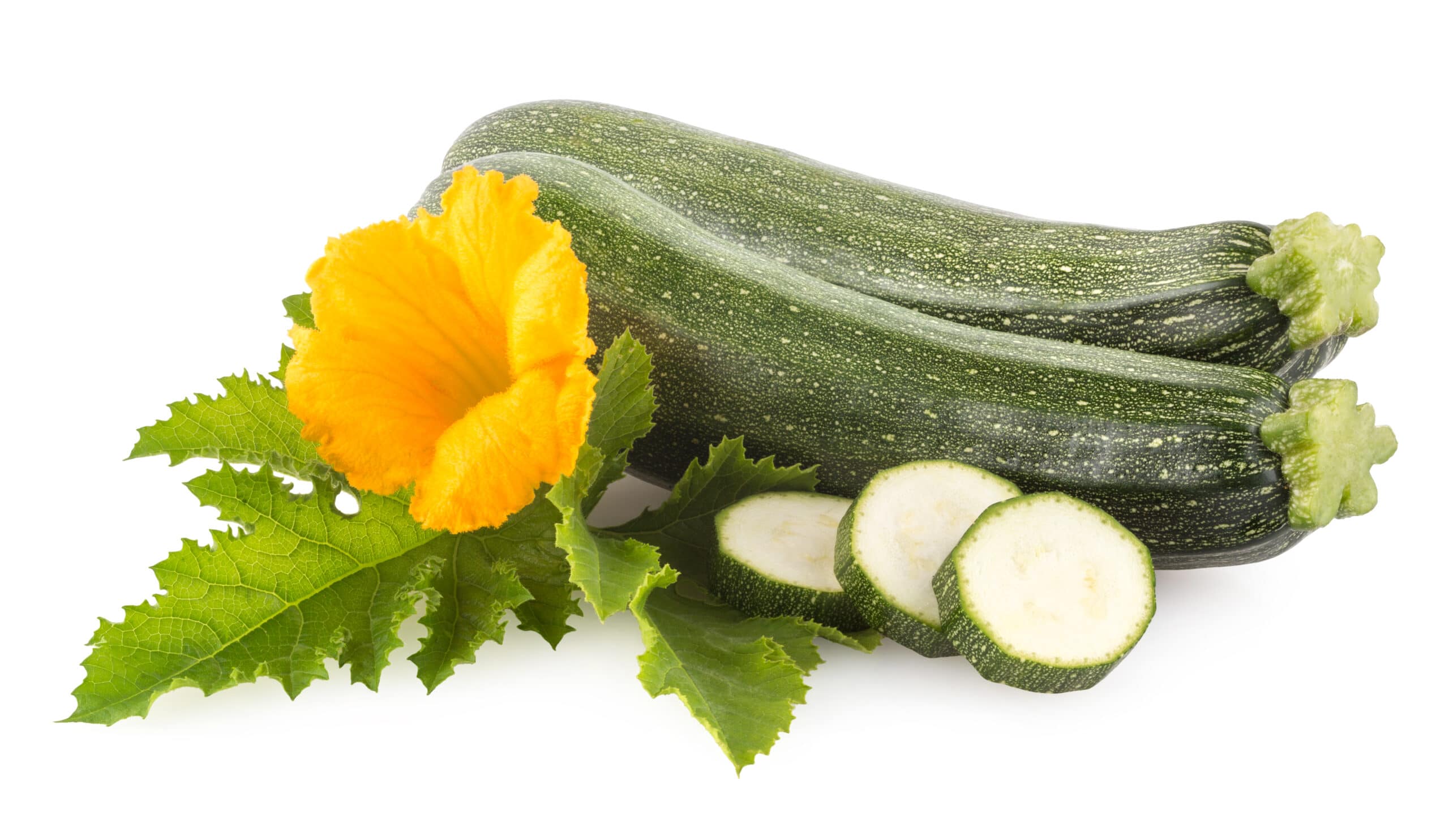 Zucchini with flower and leaves isolated on white background